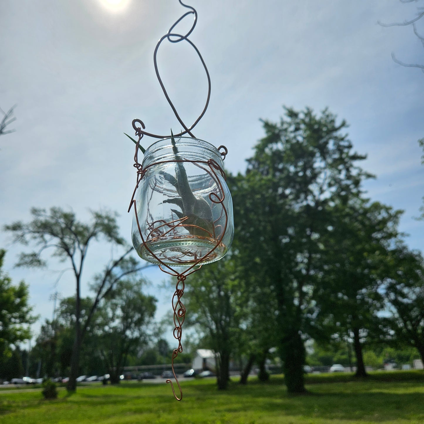 Air Plant Hanger