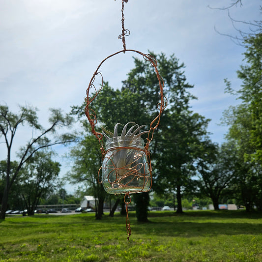 Air Plant Hanger