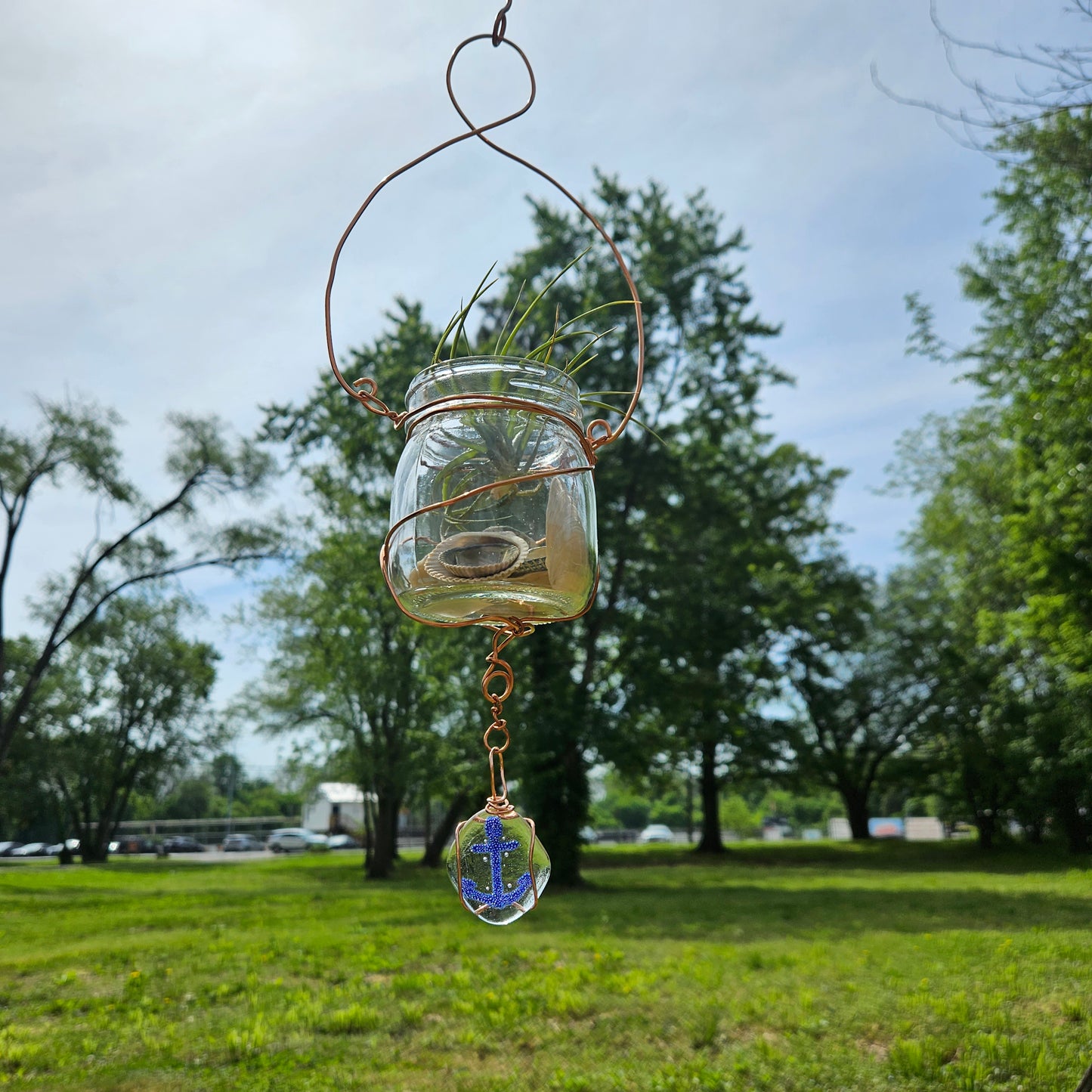 Air Plant Hanger