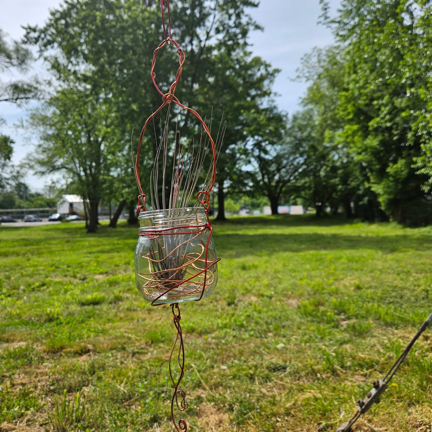 Air Plant Hanger