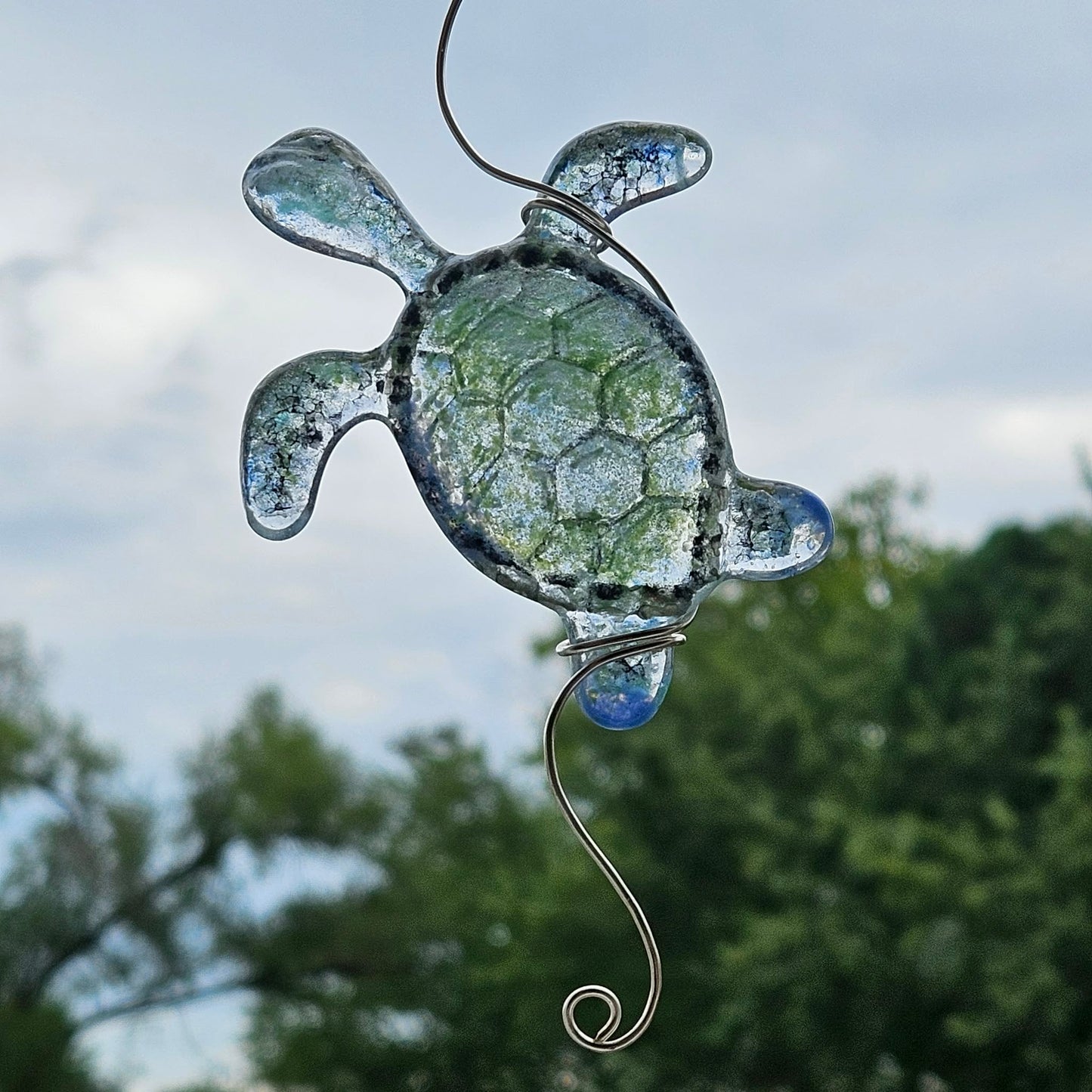 Fused Glass Turtle