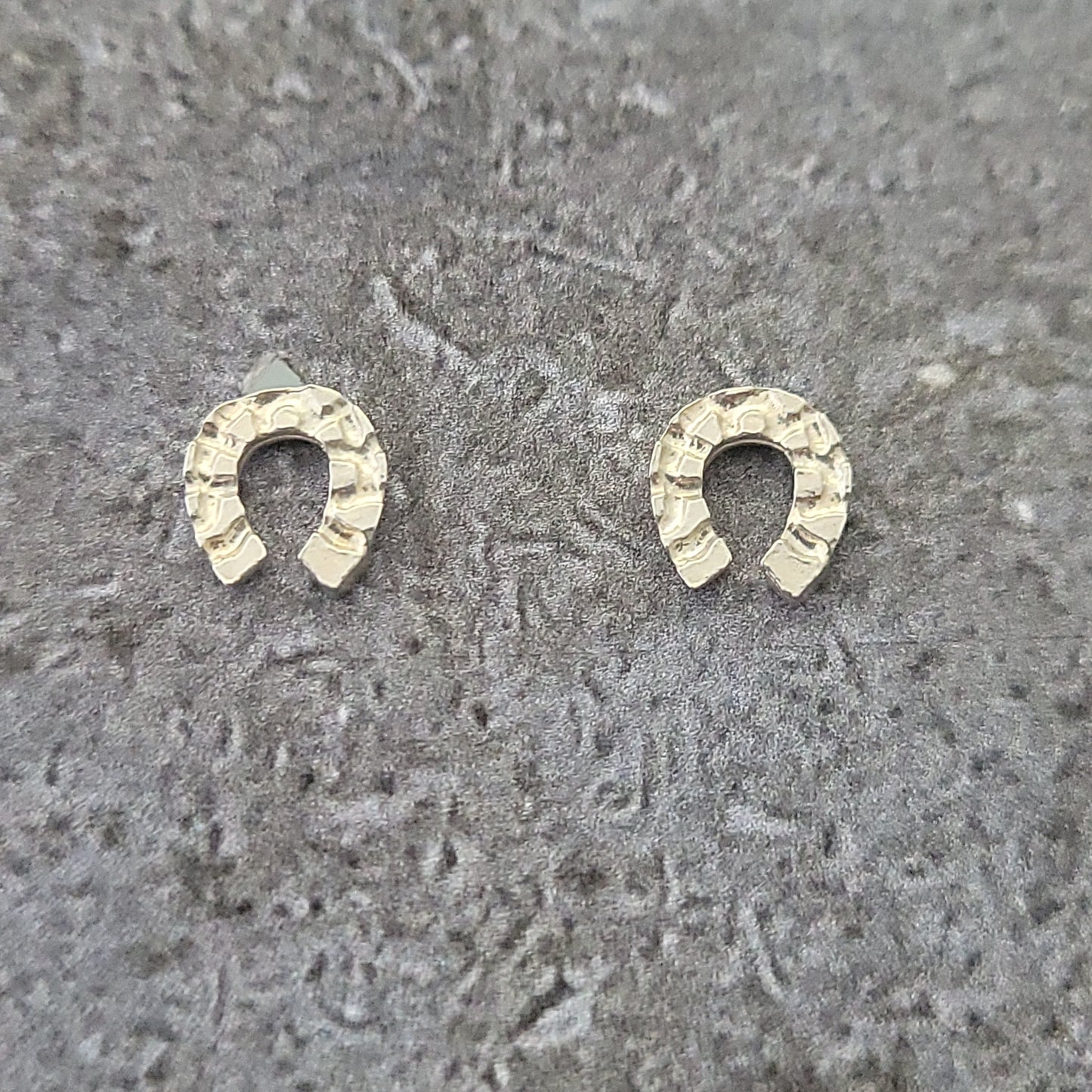 Silver Horseshoe Earrings