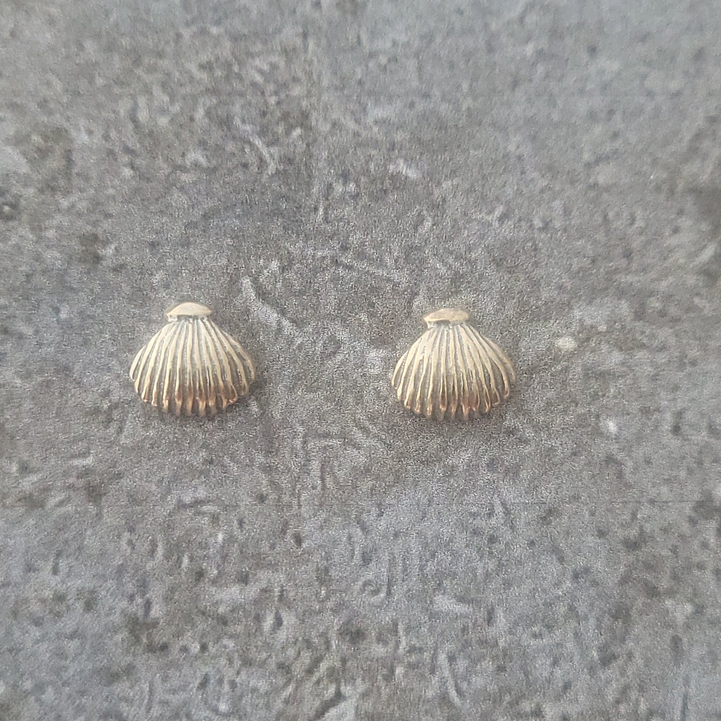 Silver Seashell Earrings