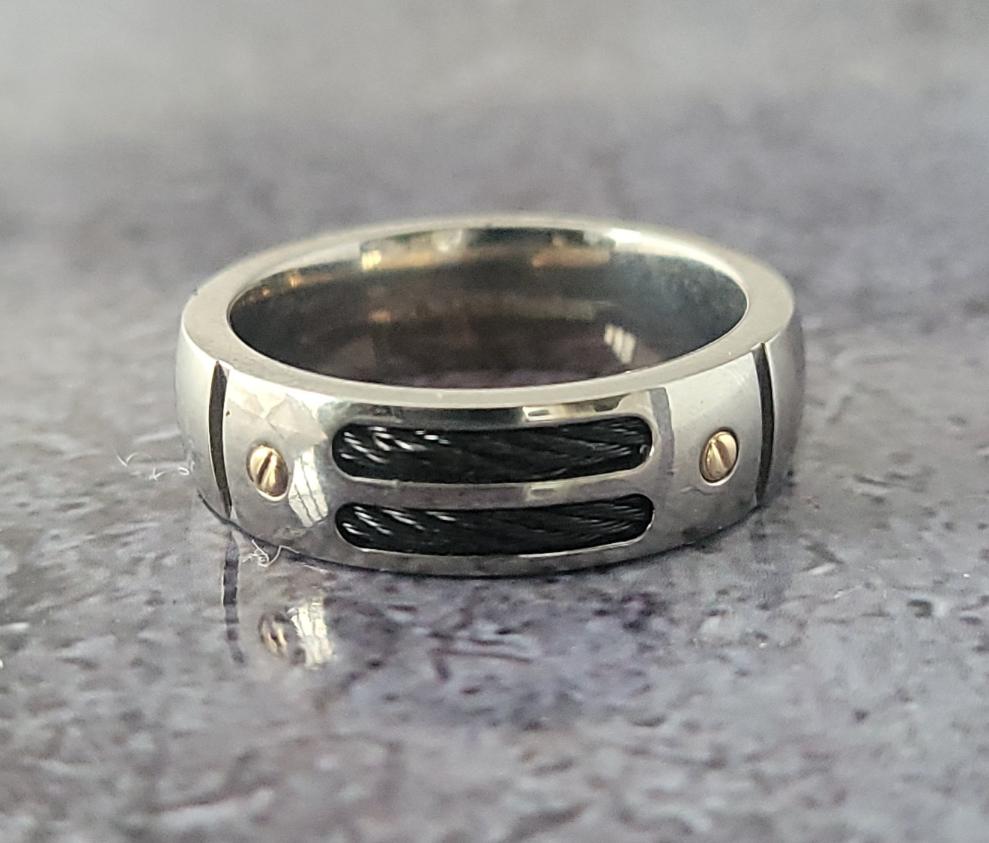 Titanium 14k Band