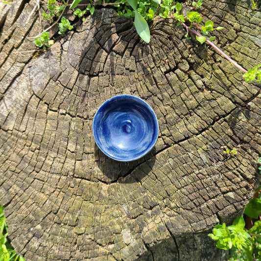 Blue Ceramic Stoneware Mini Dish
