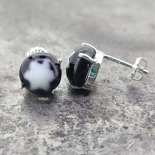 Fused Glass Black and White Earrings