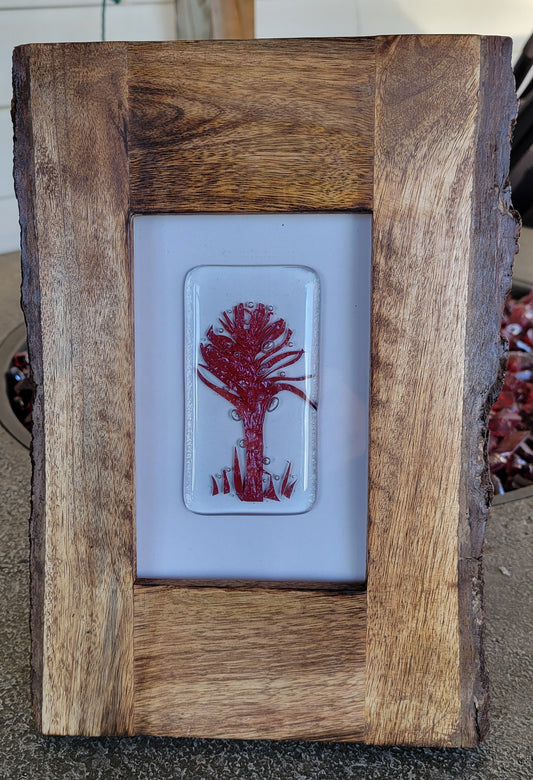 Fused Glass in Frame