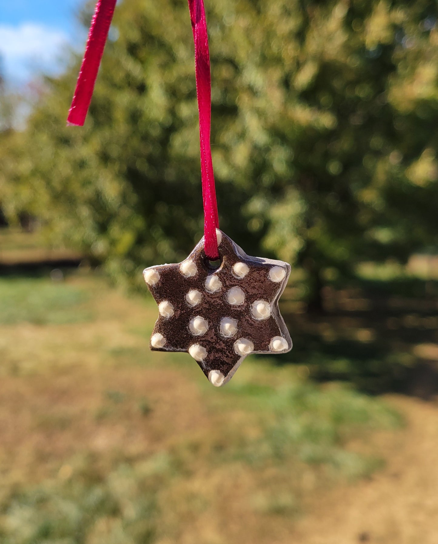 Handmade Brown Ceramic Ornament