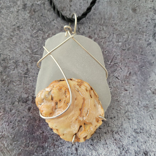 Genuine Sea Glass and Shell Necklace